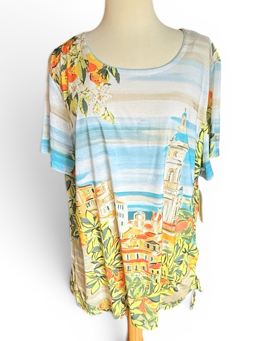 Allison Daley Knit Tunic Top with Italian Scene and Sparkles, 1X